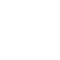 Online Inquiry