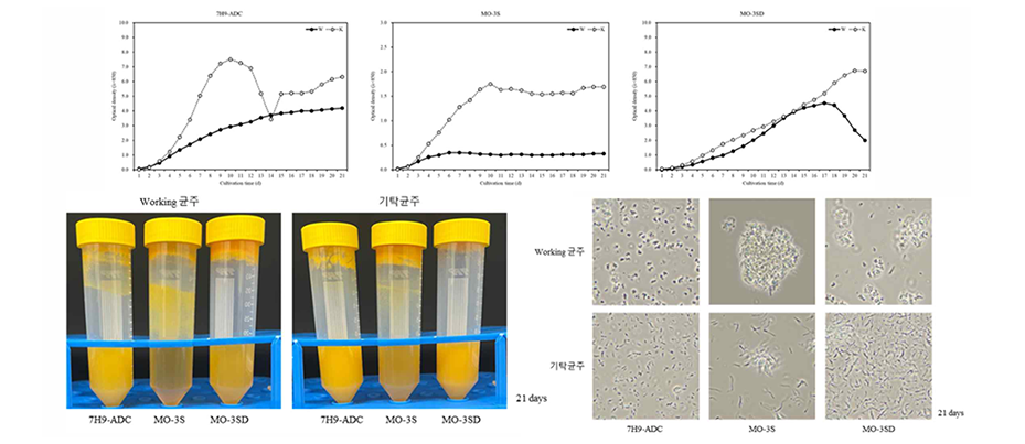Microorganizm profiles research